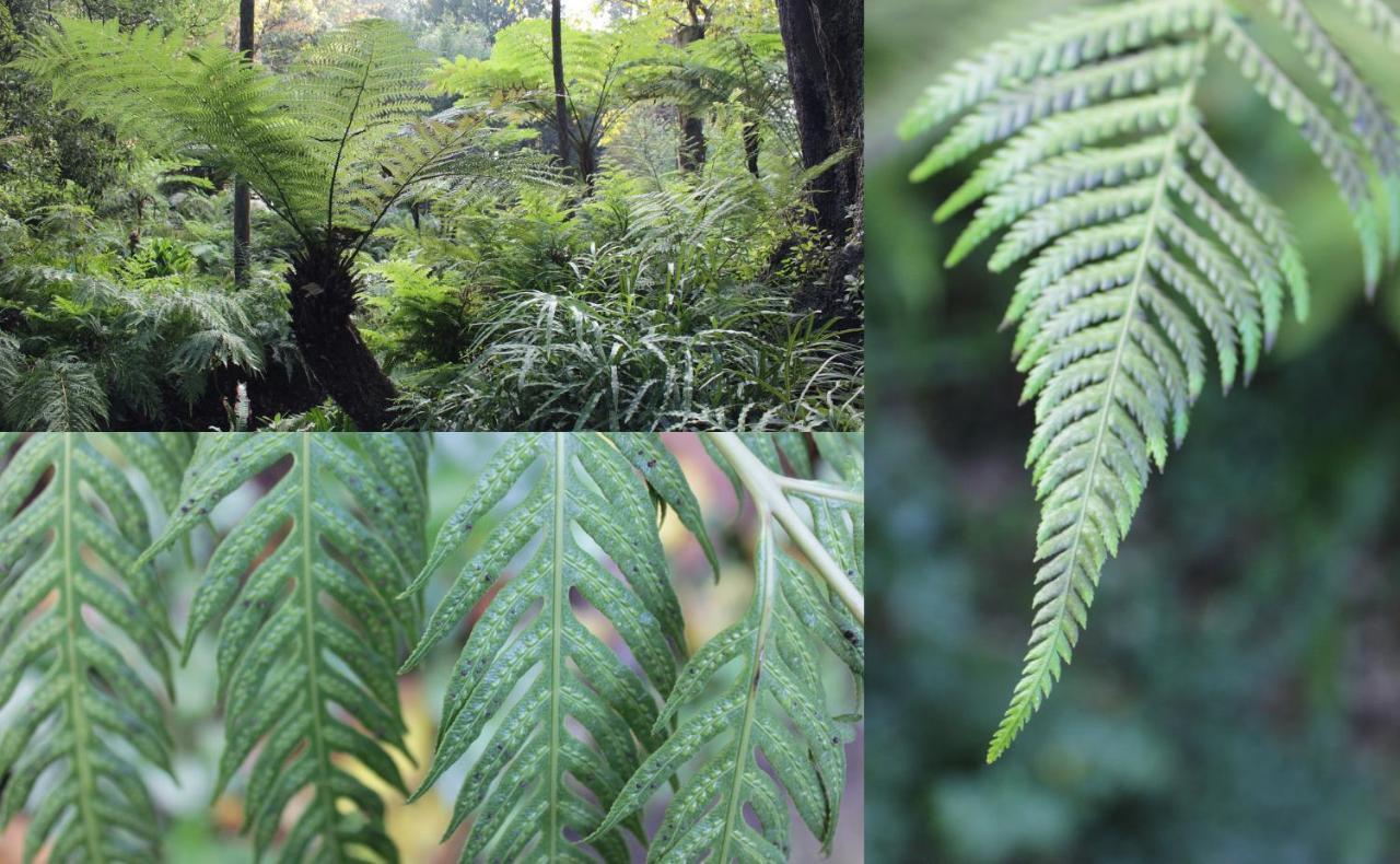 Appartamento Italia Ortobotanic Garden *